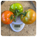 Osirisa beef tomato seeds
